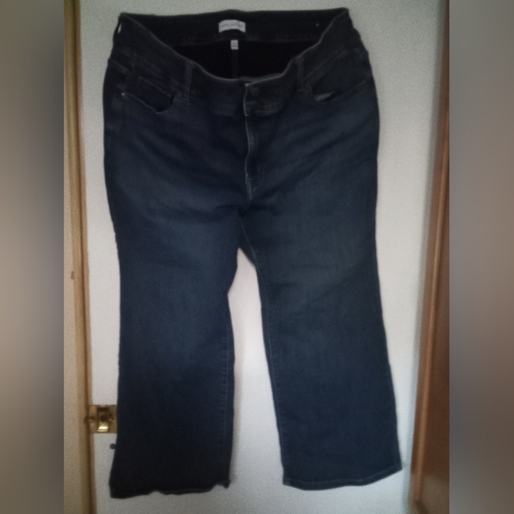 Lane Bryant women's denim jeans size 24 p